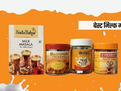 Best Milk Masala Brands in India