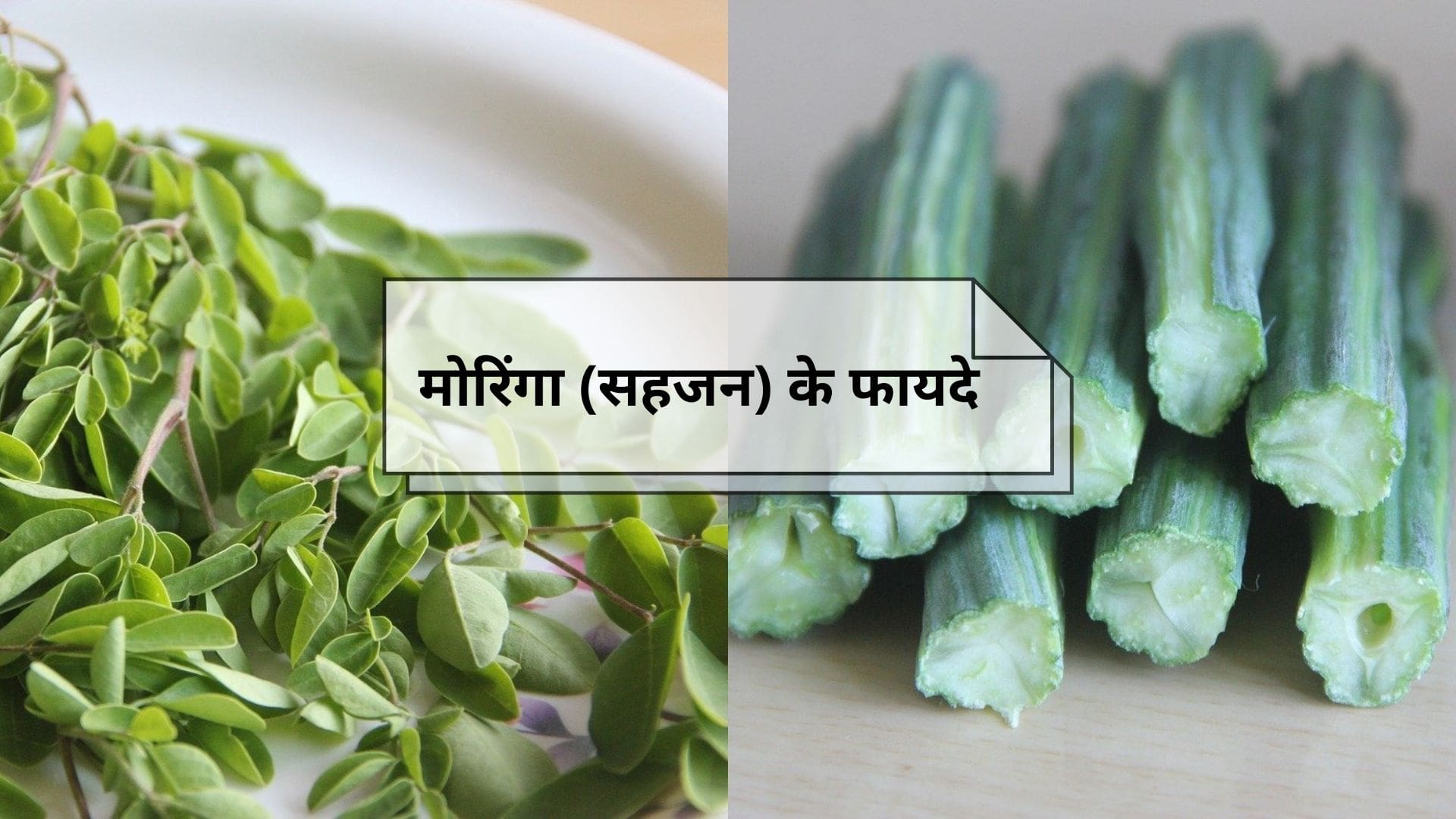 Moringa (Drumstick) Benefits And Side Effects In Hindi