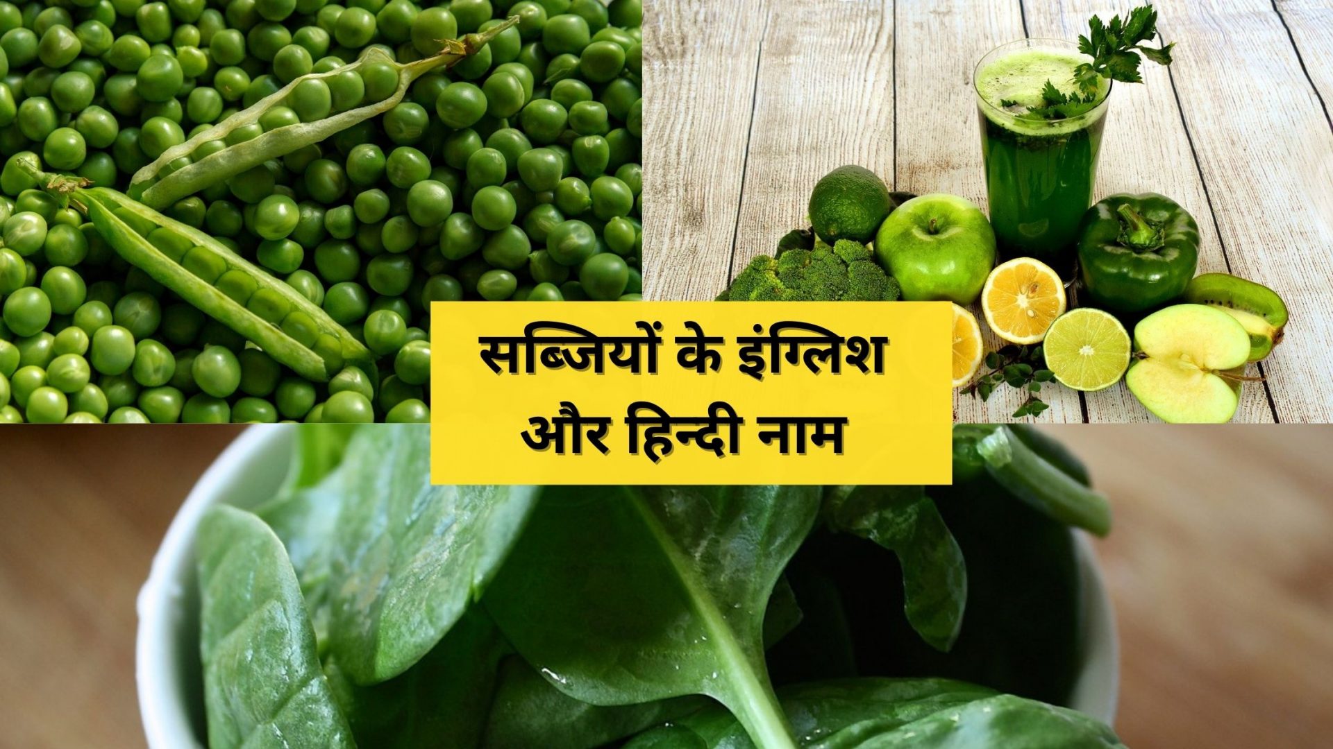 Vegetables Name In English And Hindi
