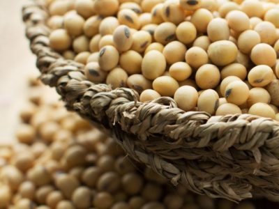 benefits of soybean