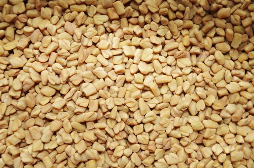 Fenugreek seeds