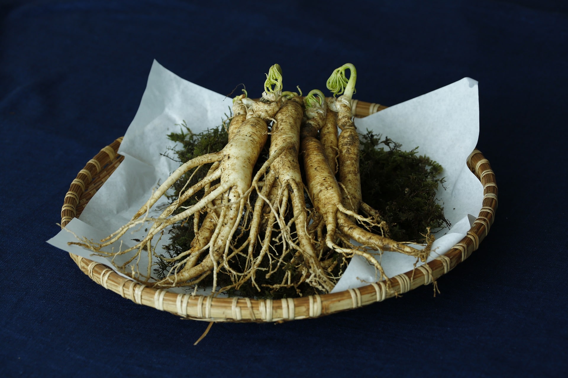 ginseng-mishry