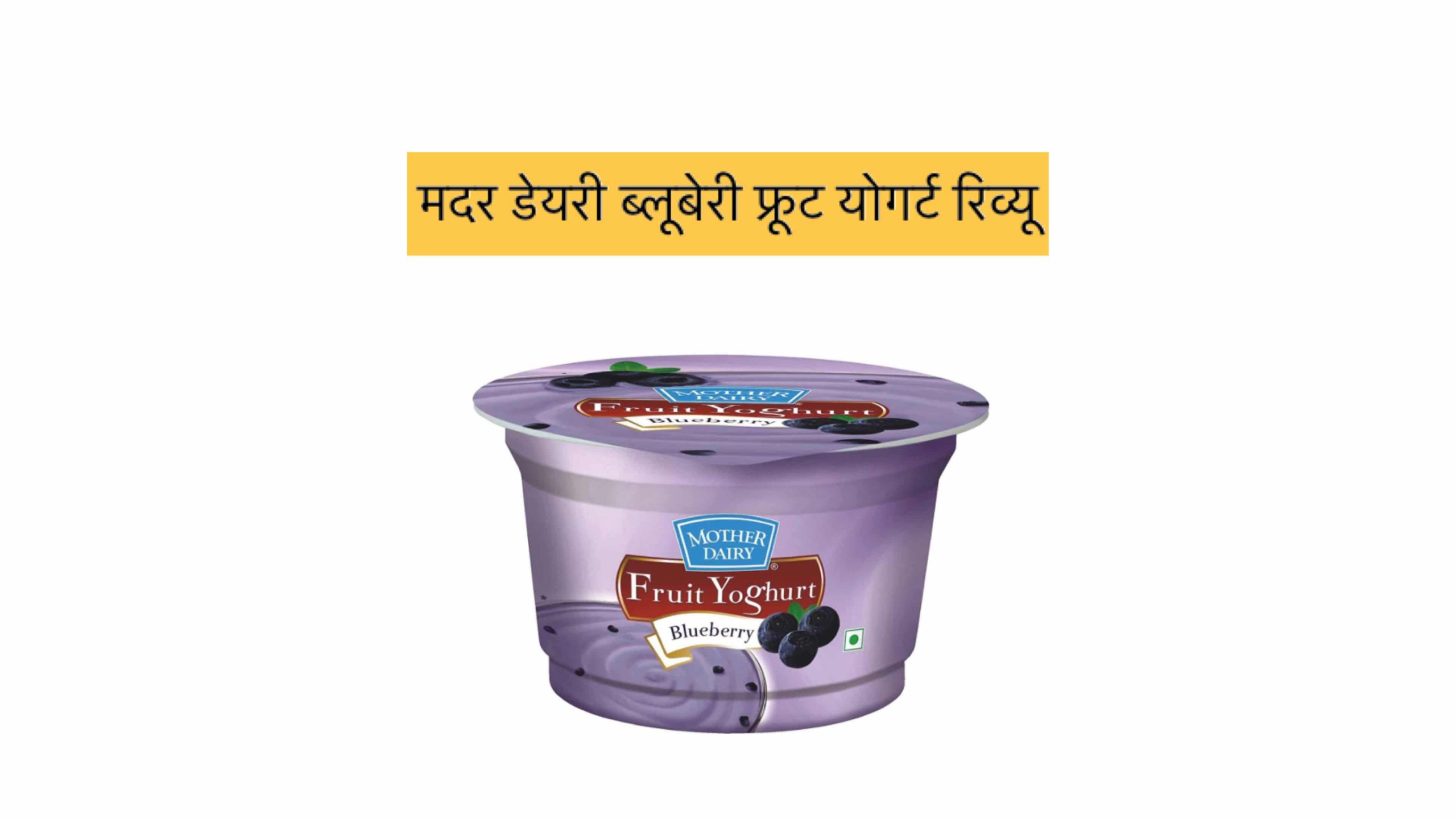 mother dairy blue berry fruit yogurt