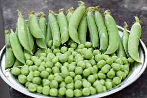 peas-mishry