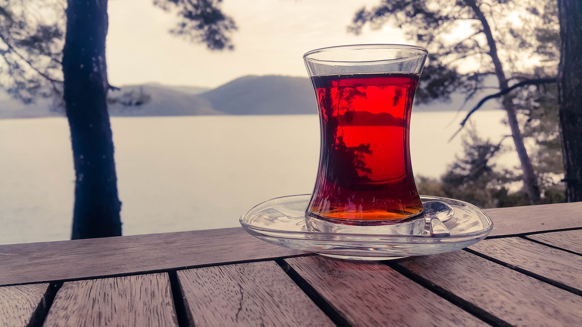 benefits of hibiscus tea-mishry