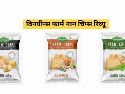 wingreens farm naan chips