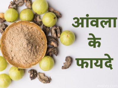 आंवला के महत्वपूर्ण फायदे और जूस रेसिपी