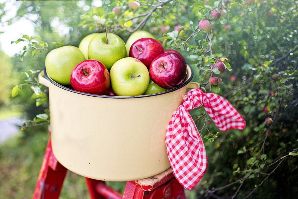 टोकरी में हरा सेब और लाल सेब