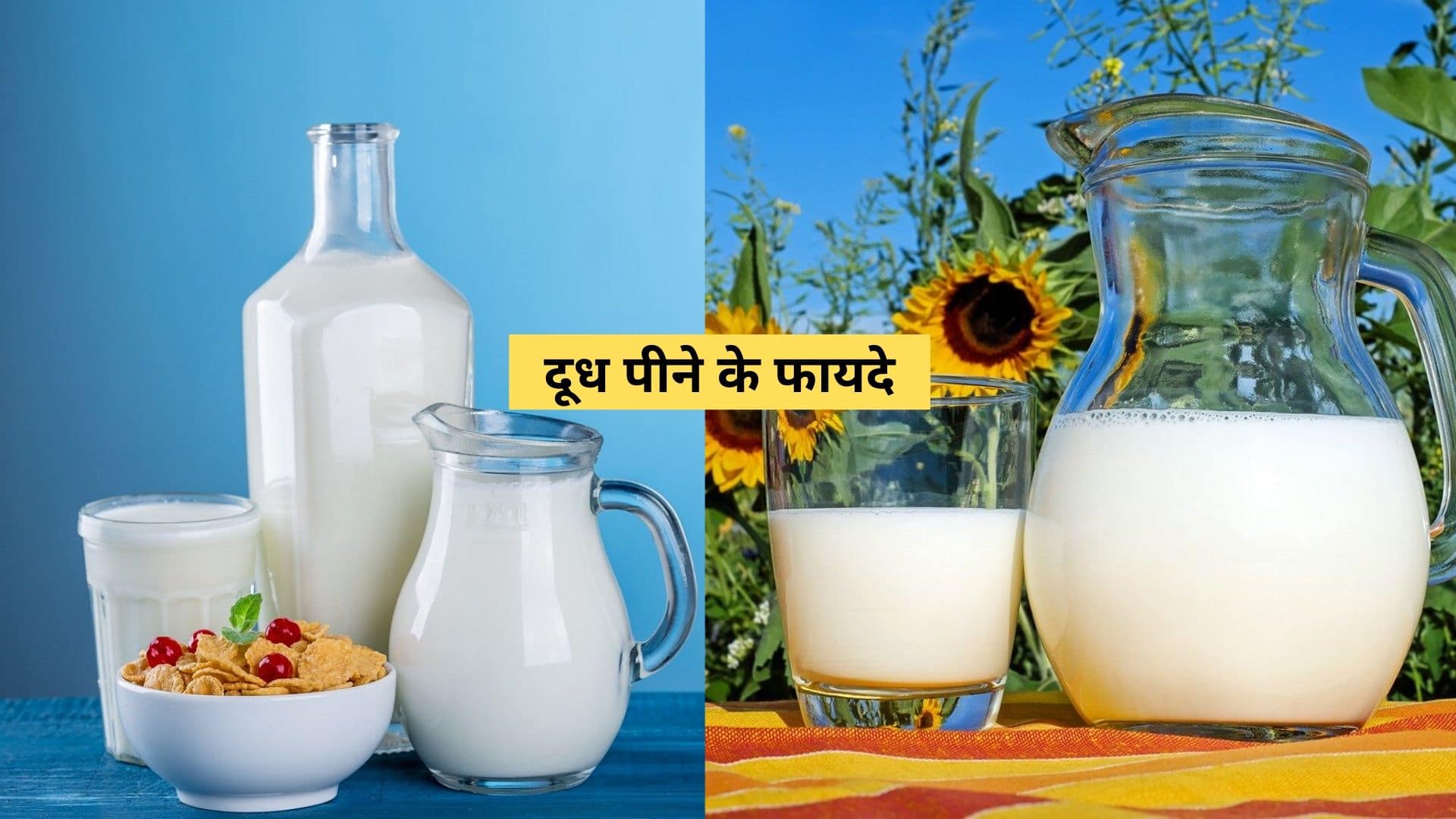 दूध के प्रभावशाली फायदे, डिश और नुकसान