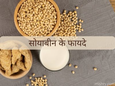 सोयाबीन के फायदे, डिश, प्रोडक्ट और नुकसान